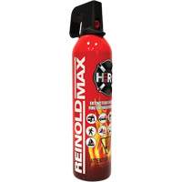 Fire Extinguisher, ABC/K, 2 lbs. Capacity SGC461 | Meunier Outillage Industriel