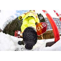 Heavy-Duty Traction Aid, Tungsten Carbide, Stud Traction, Small Meunier Outillage Industriel