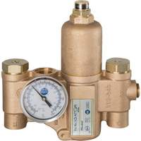 Navigator EFX20 Emergency Fixture Thermostatic Mixing Valve, 30 GPM Meunier Outillage Industriel