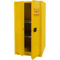 Flammable Storage Cabinet, 60 gal., 2 Door, 34" W x 65" H x 34" D SGU467 | Meunier Outillage Industriel