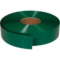 Ruban de marquage tr&egrave;s r&eacute;sistant pour plancher ArmorStripe, 2" x 100', PVC, Vert Meunier Outillage Industriel
