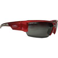 Lunettes de s&eacute;curit&eacute; Hartley, Lentille Gris, Polaris&eacute;, R&eacute;pond ou surpasse la norme CSA Z94.3 Meunier Outillage Industriel