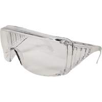 Lunettes de s&eacute;curit&eacute; Eccospec, Lentille Transparent, R&eacute;pond ou surpasse la norme CSA Z94.3 Meunier Outillage Industriel
