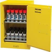 Flammable Aerosol Storage Cabinet, 12 gal., 1 Door, 23" W x 35" H x 18" D SGX675 | Meunier Outillage Industriel