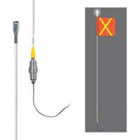All-Weather Super-Duty Warning Whips with Constant LED Light, Spring Mount, 5' High, Orange with Reflective X SGY857 | Meunier Outillage Industriel