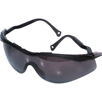 Lunettes de s&eacute;curit&eacute; North The Edge, Lentille Fum&eacute;e, Antibu&eacute;e/Anti-&eacute;gratignures, R&eacute;pond ou surpasse la norme CSA Z94.3 Meunier Outillage Industriel