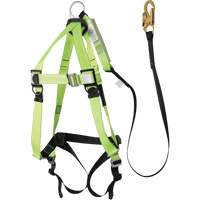 FBH-10000A5440-4 Harnais & longe classe A de 4' avec capacit&eacute; de 220 lb, Combinaison harnais/longe Meunier Outillage Industriel