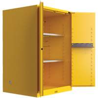 Utili-Guard+ Flammable Safety Cabinet, 45 gal., 2 Door, 43" W x 65" H x 22" D Meunier Outillage Industriel