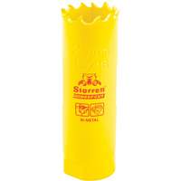 Scie &agrave; cloche bim&eacute;tal 13/16", 13/16", Profondeur de la coupe 2", Bim&eacute;tal Meunier Outillage Industriel