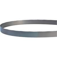 Welded Bandsaw Blade, Bi-Metal, 14' L x 1" W x 4 - 6 TPI Meunier Outillage Industriel