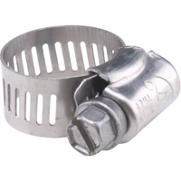 Stainless Steel Gear Clamp, Min Dia. 3", Max Dia. 4" BW206 | Meunier Outillage Industriel