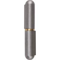 Weld-On Hinge, 0.453" Dia. x 2.756" L, Mild Steel w/Fixed Steel Pin TTV435 | Meunier Outillage Industriel