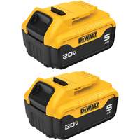 Bloc-piles Max XR Premium, Lithium-ion, 20 V, 5 A Meunier Outillage Industriel