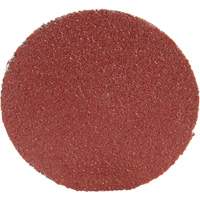 Roloc Disc 361F, 1-1/2" Dia., P100 Grit, Aluminum Oxide Meunier Outillage Industriel