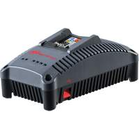 IQV Universal Tool Battery Charger, 12 V/20 V, Lithium-Ion UAE927 | Meunier Outillage Industriel