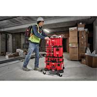 Packout™ Compact Tool Box, 16-1/5" W x 10" D x 13" H, Black/Red UAJ143 | Meunier Outillage Industriel