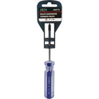 Blue Transparent Striped Philips Screwdriver, #1, Plastic Handle Meunier Outillage Industriel