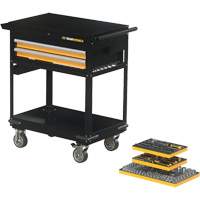 Mechanics Tool Set in Modular Foam Trays with Storage Unit, 194 Pieces Meunier Outillage Industriel