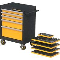 Mechanics Tool Set in Modular Foam Trays with Storage Unit, 247 Pieces Meunier Outillage Industriel