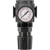 D&eacute;tendeur &agrave; diaphragme en zinc MODULAIR 300, 3/8" NPT, PSI max. de 300 psi, Canalisation/Modulaire Meunier Outillage Industriel