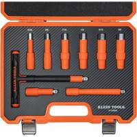 Insulated T-Handle & Hex Bit Set with Case, 1000 V, 9 Pcs Meunier Outillage Industriel