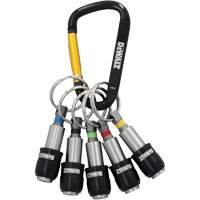 5-Piece Keyring Bit Holder Set Meunier Outillage Industriel