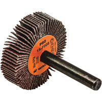 Disques &agrave; lamelles - Meules &agrave; lamelles Coolcut, Oxyde d'aluminium, Grain 80, 1-1/2" x 3/8" x 1/4" Meunier Outillage Industriel