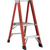 Industrial Extra Heavy-Duty Platform Stepladder (6500 AA Series), 4', 375 lbs. Cap. Meunier Outillage Industriel