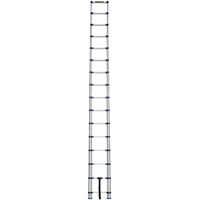 Telescopic Ladder, 3' - 15.5', Aluminum, 250 lbs. Capacity, Type 1 VC252 | Meunier Outillage Industriel