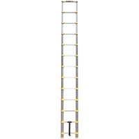 Telescopic Ladder, 3' - 12', Aluminum, 250 lbs. Capacity, Type 1 VC441 | Meunier Outillage Industriel
