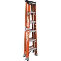 Step Ladder, 6', Fibreglass, 375 lbs. Capacity, Type 1AA Meunier Outillage Industriel