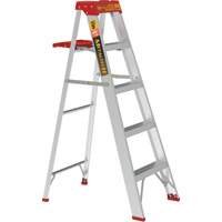 Step Ladder with Paint Tray, 5', Aluminum, 200 lbs. Capacity, Type 3 Meunier Outillage Industriel