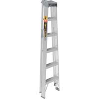 Step Ladder, 6', Aluminum, 225 lbs. Capacity, Type 2 Meunier Outillage Industriel