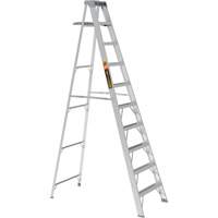 Step Ladder with Paint Tray, 10', Aluminum, 225 lbs. Capacity, Type 2 Meunier Outillage Industriel