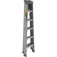 Step Ladder with Paint Tray, 6', Fibreglass, 225 lbs. Capacity, Type 2 Meunier Outillage Industriel