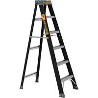 Step Ladder, 6', Fibreglass, 250 lbs. Capacity, Type 1 Meunier Outillage Industriel
