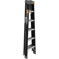 Step Ladder with Paint Tray, 6', Fibreglass, 250 lbs. Capacity, Type 1 Meunier Outillage Industriel