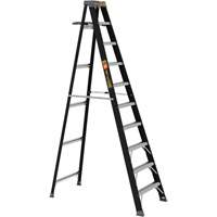 Step Ladder with Paint Tray, 10', Fibreglass, 250 lbs. Capacity, Type 1 Meunier Outillage Industriel