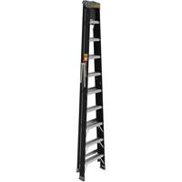 Step Ladder with Paint Tray, 10', Fibreglass, 250 lbs. Capacity, Type 1 Meunier Outillage Industriel