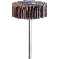 3/8" Flapwheel Sanding Bit - 120 Grit Meunier Outillage Industriel