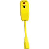 Plug & Cord Sets, 120 V, 15 A, 9' Cord XA463 | Meunier Outillage Industriel