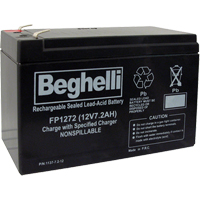 Sealed Lead Acid Batteries, 12 V, 7.2 Ah XB922 | Meunier Outillage Industriel