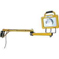 Heavy-Duty Dock Light, 40" Arm, 38 W, LED Lamp, Metal Meunier Outillage Industriel
