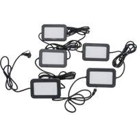 LED String Work Lights, 5 Lights, 50' L, Plastic Housing Meunier Outillage Industriel