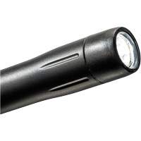 Penlight, LED, 139 Lumens, Plastic Body, AAA Batteries, Included XI293 | Meunier Outillage Industriel