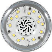 Ultra LED™ High Lumen Lamp, HID, 27 W, 5000 Lumens, Medium Base XI555 | Meunier Outillage Industriel