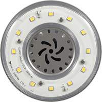 Lampe haute luminosité Ultra LED<sup>MC</sup>, DHI, 36 W, 4800 lumens, base Mogul XI556 | Meunier Outillage Industriel