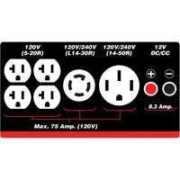 Gasoline/Propane Generator with Electric Start Meunier Outillage Industriel