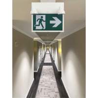Running Man Sign with Security Lights, LED, Battery Operated/Hardwired, 12-1/10" L x 11" W, Pictogram Meunier Outillage Industriel