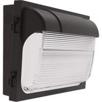 TWX Wall Luminaire, LED, 480 V, 9 W - 54 W, 14" H x 18" W x 5" D XI974 | Meunier Outillage Industriel